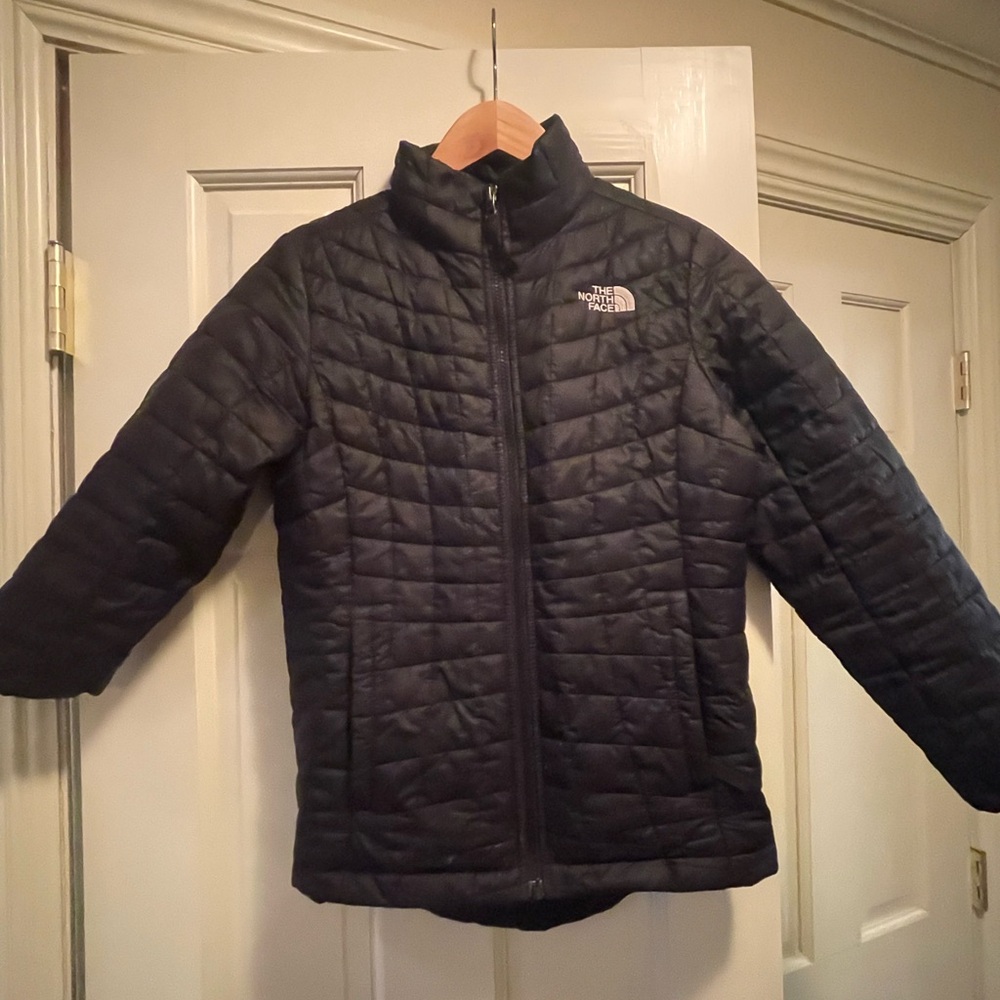 The North Face Black Puffer Jacket with High Collar and Quilted Design